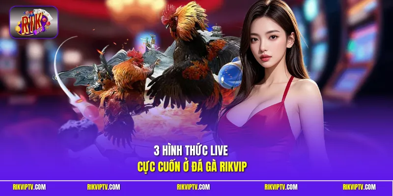 3 hình thức live cực cuốn ở đá gà Rikvip
