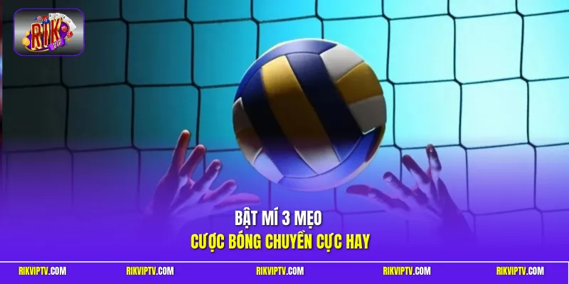 Bật mí 3 mẹo cược bóng chuyền cực hay