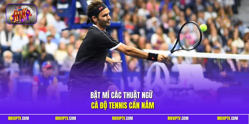 Bật mí các thuật ngữ cá độ tennis cần nắm