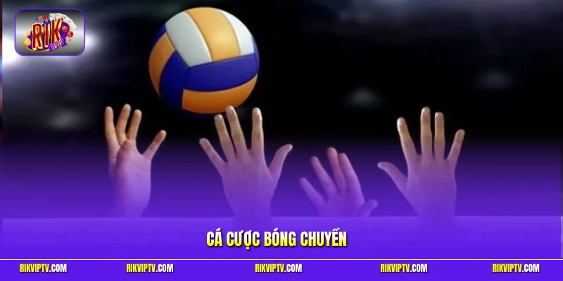 Cá cược bóng chuyển