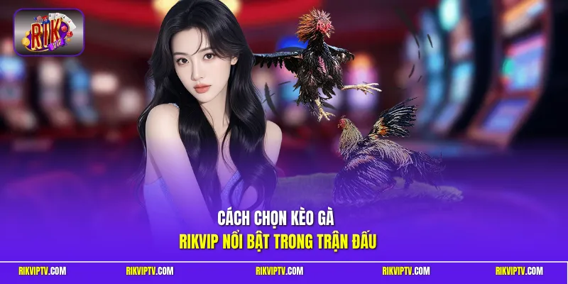 Cách chọn kèo gà Rikvip nổi bật trong trận đấu