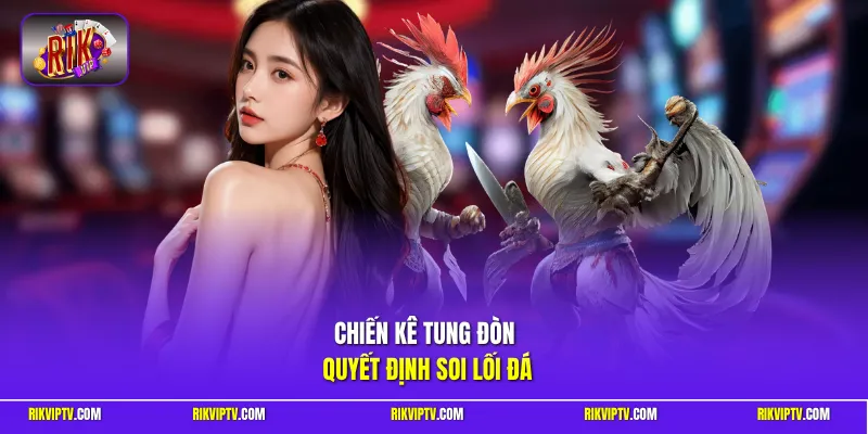 Chiến kê tung đòn quyết định soi lối đá