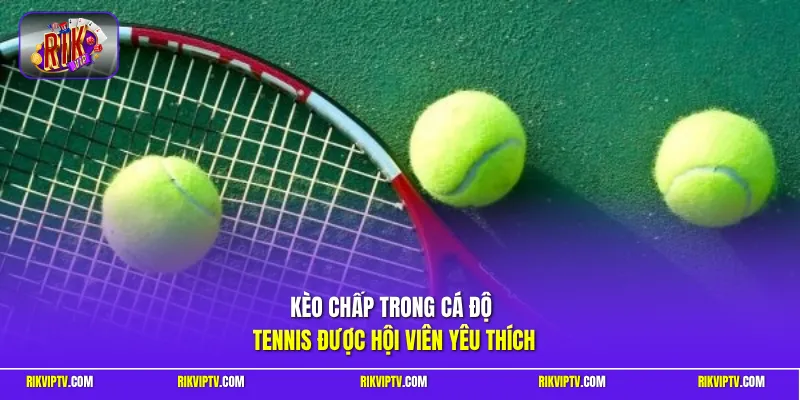 Kèo chấp trong cá độ tennis được hội viên yêu thích 