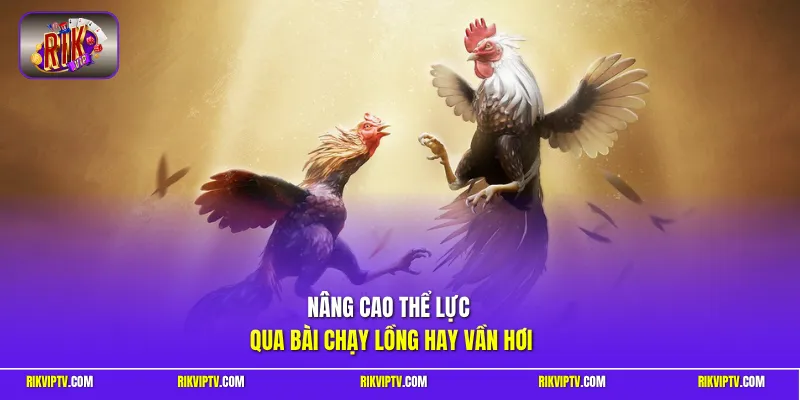 Nâng cao thể lực qua bài chạy lồng hay vần hơi
