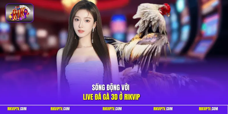 Sống động với live đá gà 3D ở Rikvip